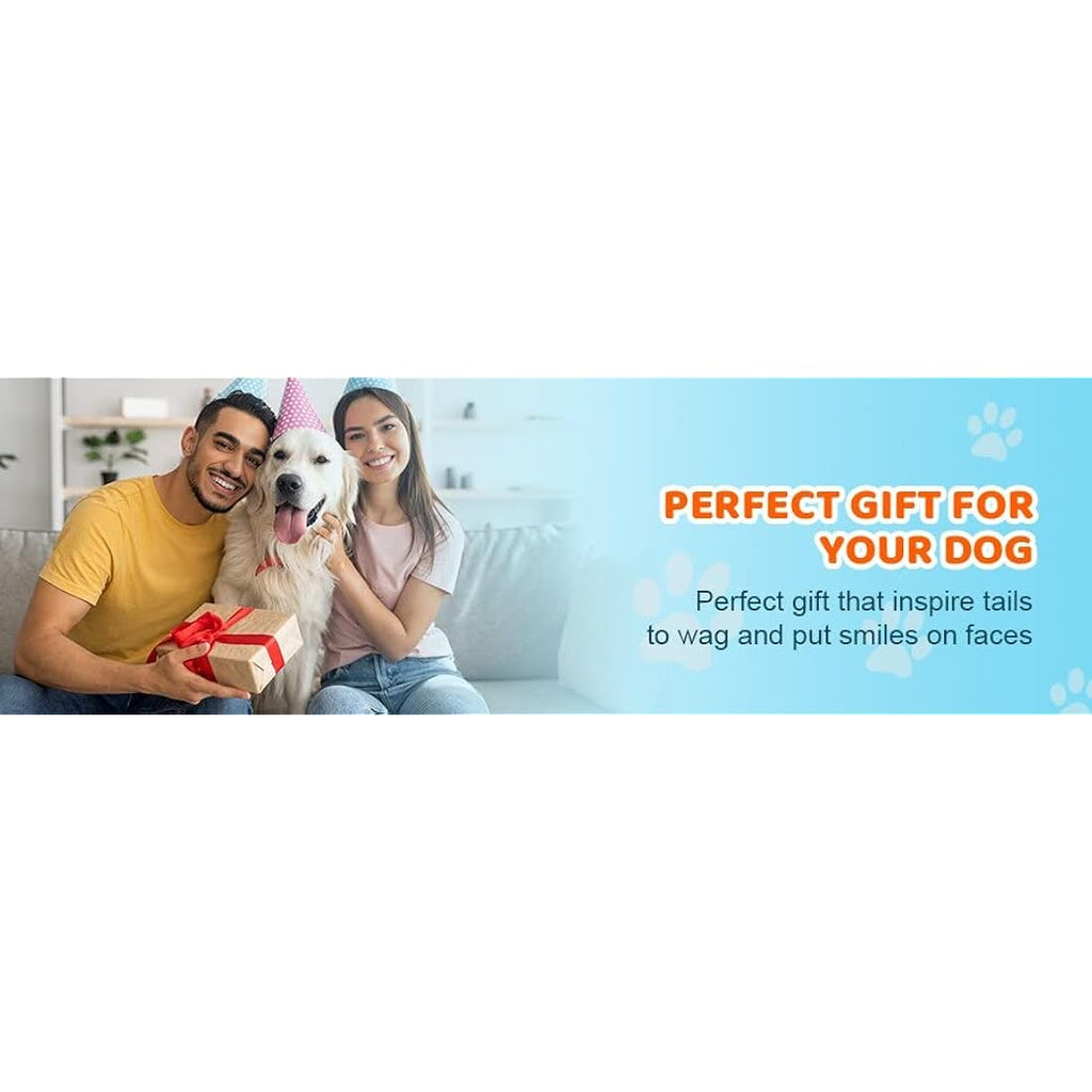 Jolof Store Squeaky Dog Balls – 3-Pack Floating Interactive Fetch Toys