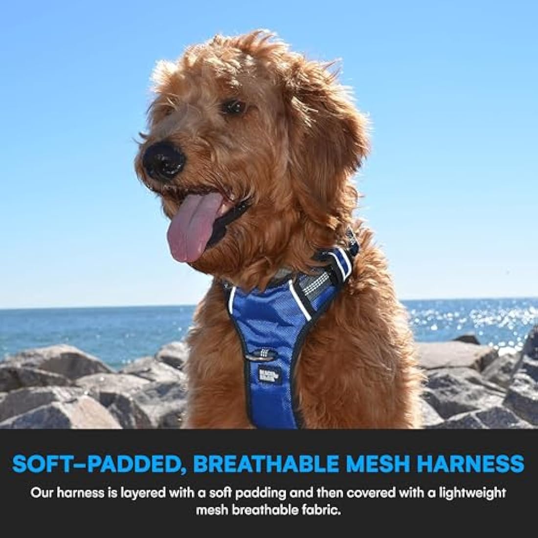 Black Rhino Dog Harness – Reflective Mesh Padded Vest for Large Breeds