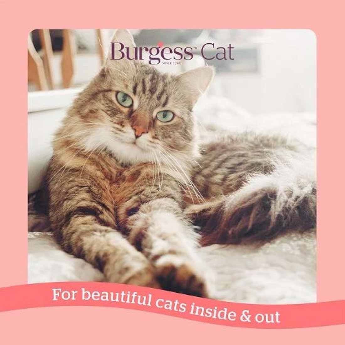 Burgess Salmon Dry Cat Food for Adult Cats – Digestive & Heart Health 1.5kg