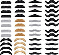 48 Pack Self Adhesive Fake Moustache Set for Costumes