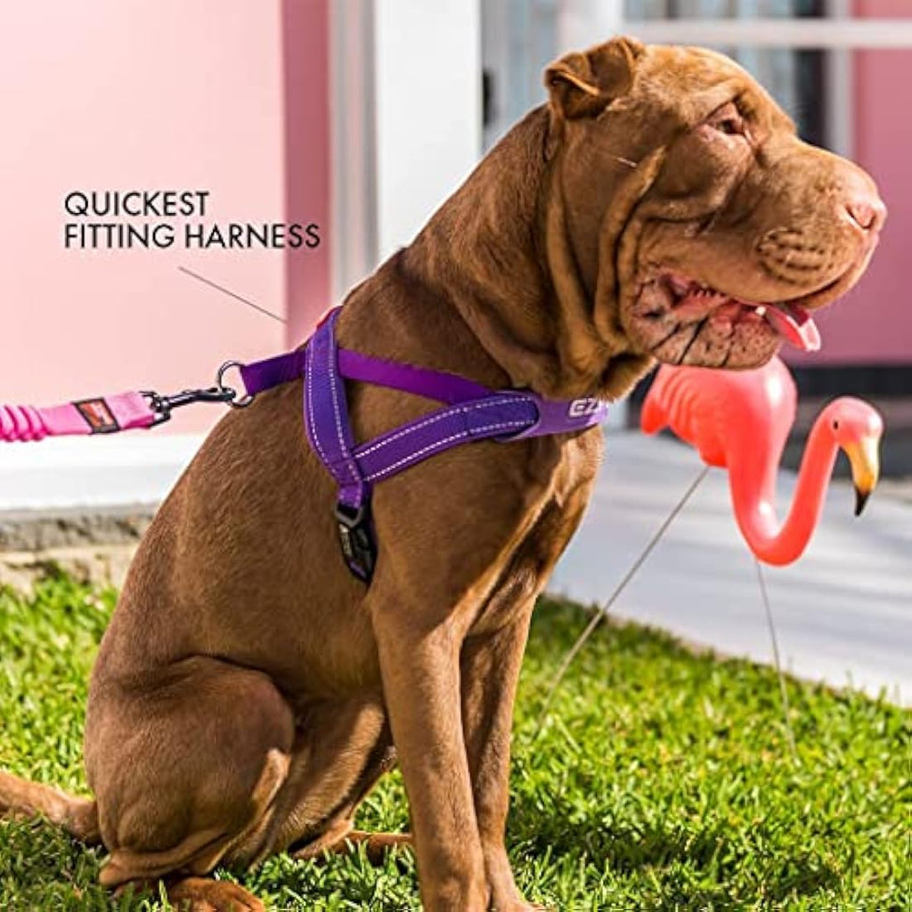 EzyDog Quick Fit Dog Harness | Reflective No Pull Corduroy - Black, Large
