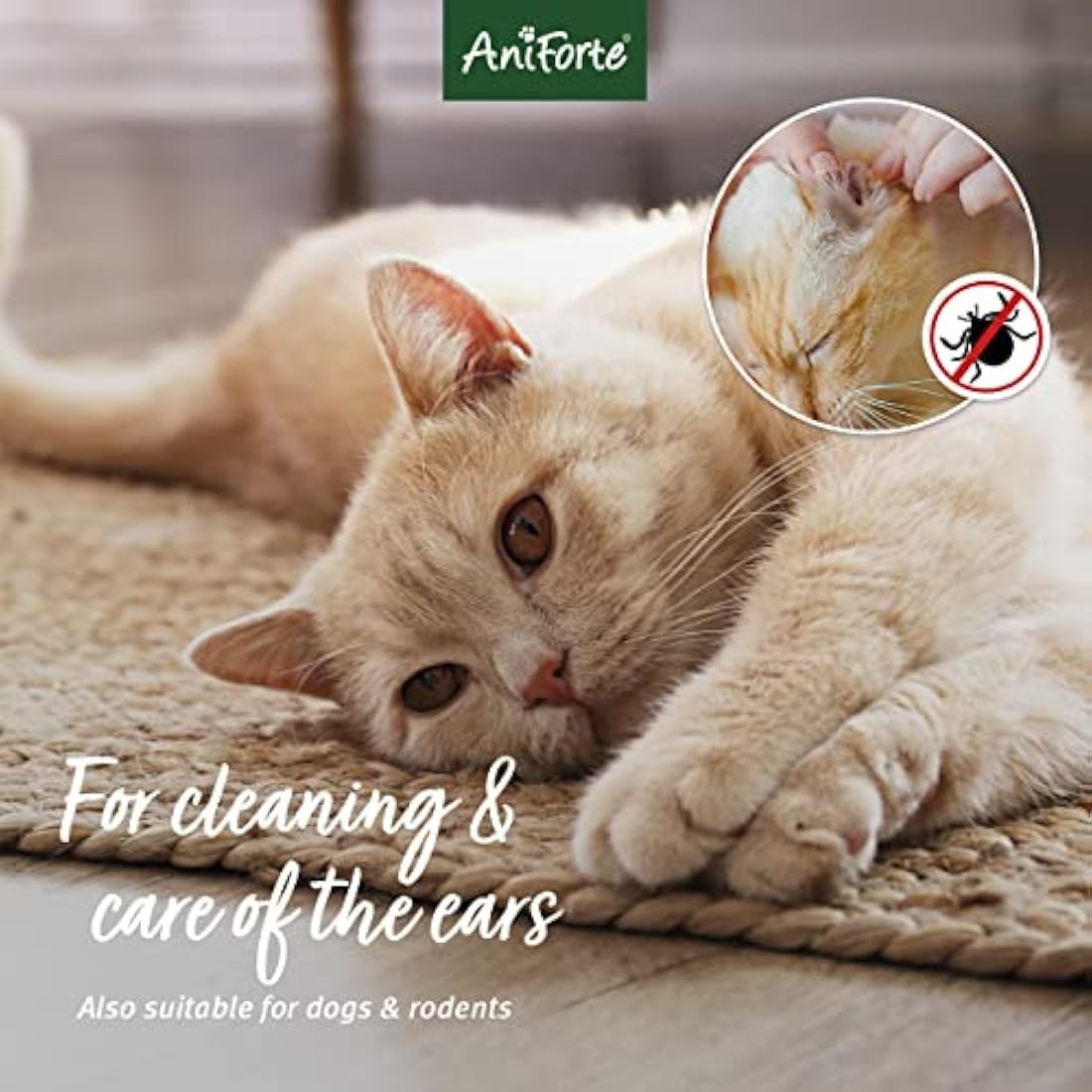 AniForte Ear Mite Drops – Natural Treatment for Dogs, Cats and Pets