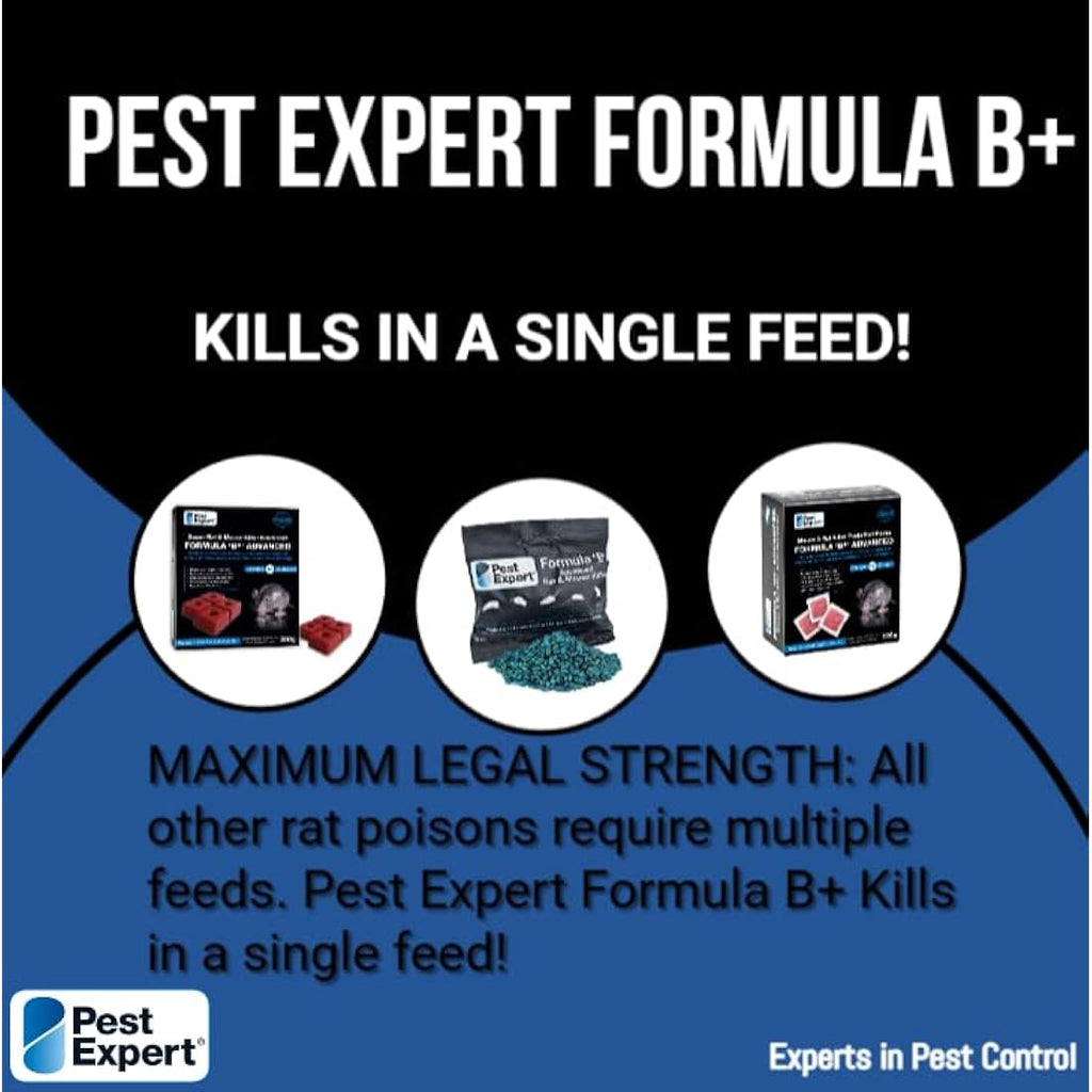 Pest Expert Rat & Mouse Killer Poison Blocks (300g) with Bait Station