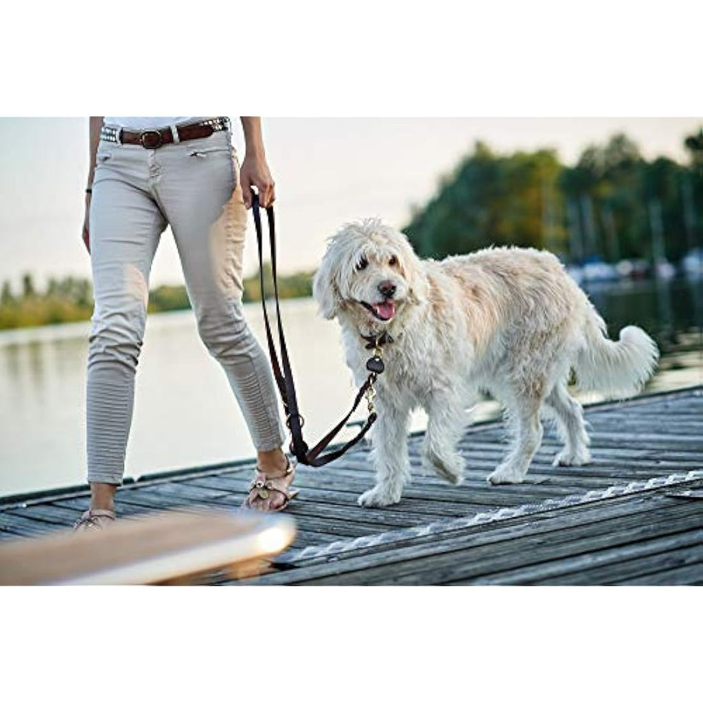 HUNTER Sansibar Braided Leather Dog Lead – Adjustable 200cm Dark Brown