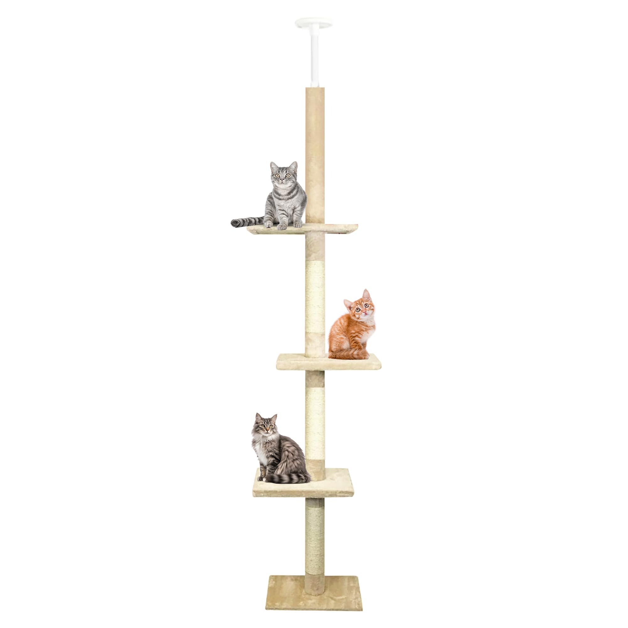 CA&T Floor to Ceiling Cat Tree – Height Adjustable Plush Climbing Tower