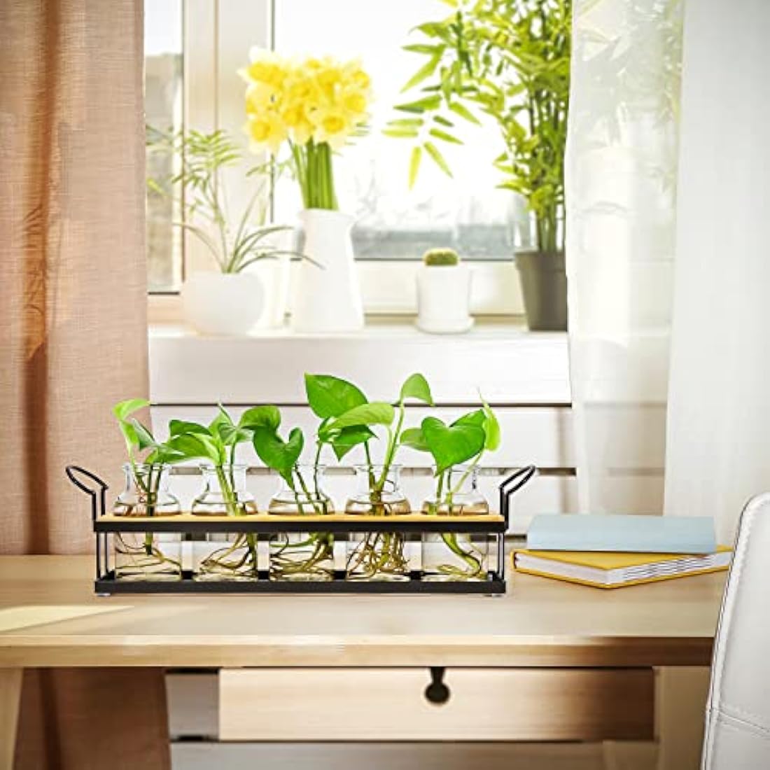 THYGIFTREE Plant Propagation Station | 5 Glass Jars with Metal Stand