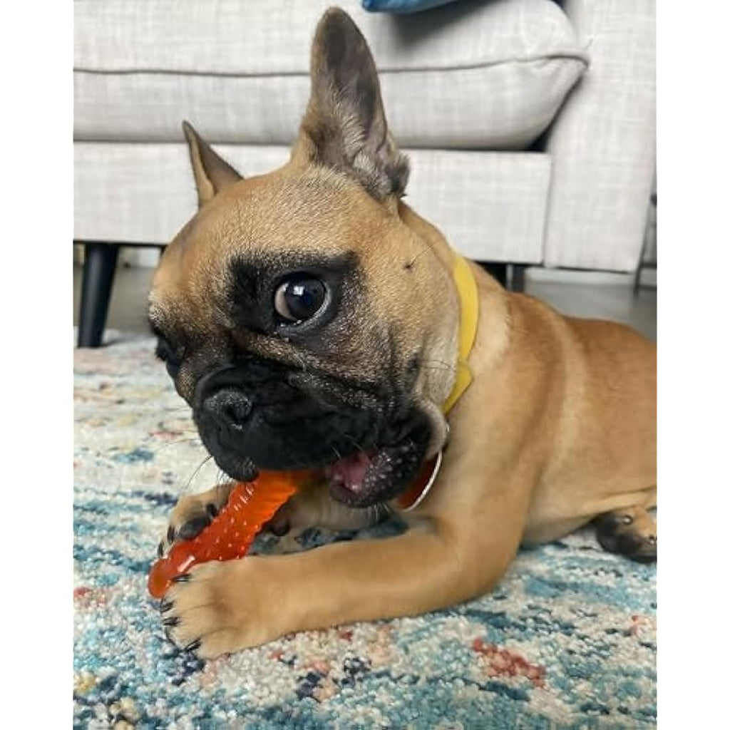 Nylabone Puppy Teething Freezer Bone - Lamb & Apple Chew Toy, Small