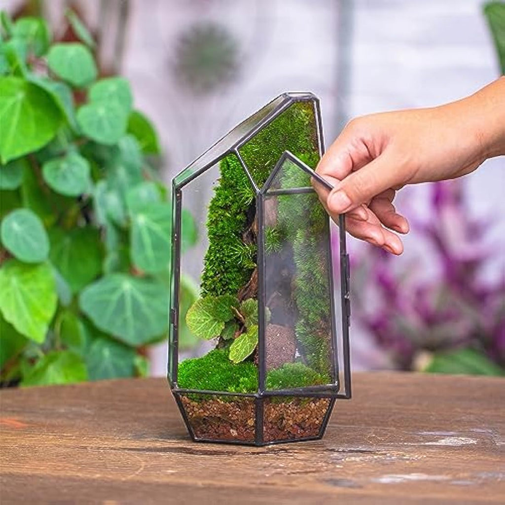 Geometric Glass Plant Terrarium – 22cm Modern Succulent Planter
