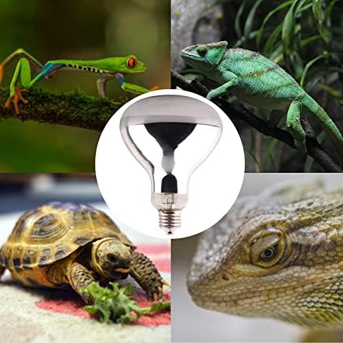 DERNORD Mercury Vapour Bulb - 160W UVA UVB Heat Lamp for Reptiles
