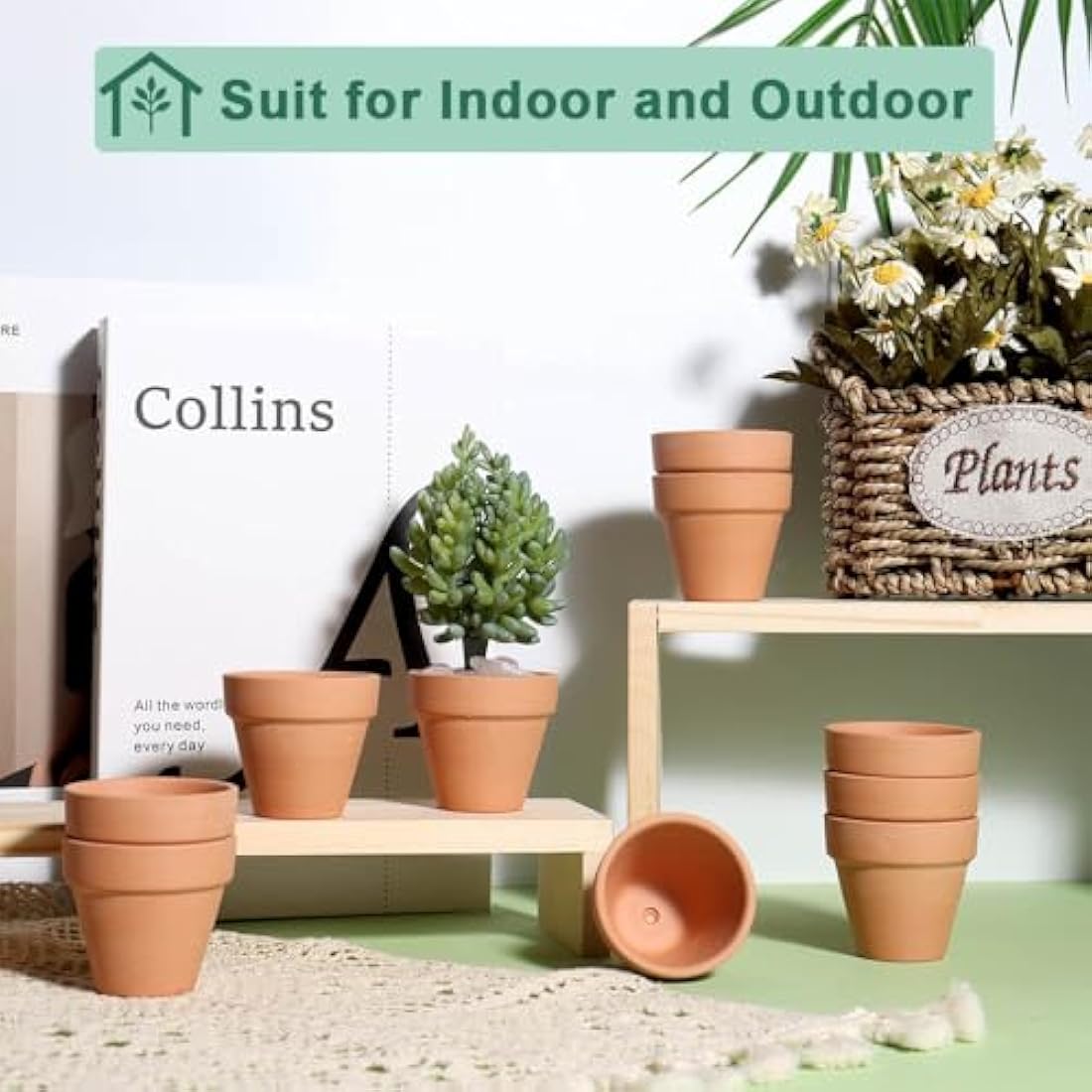 Vensovo 48 Pcs Mini Terracotta Pots - 5CM Small Clay Succulent Planters