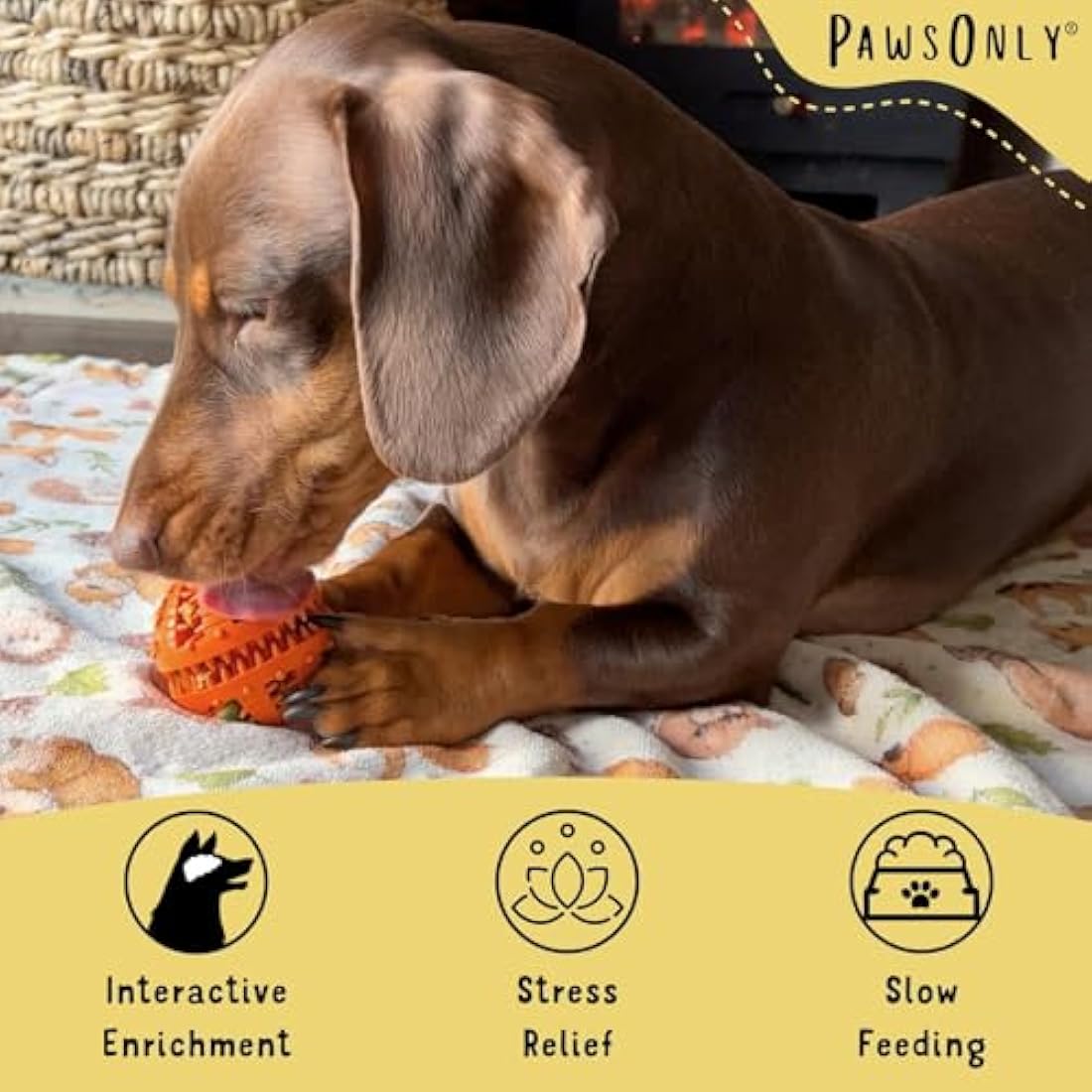 PawsOnly Interactive Dog Treat Dispenser Ball – Dental Rubber Toy, Orange