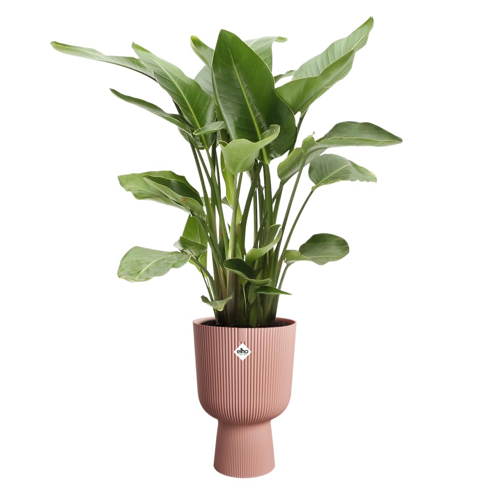Elho Vibes Fold Coupe 30 Indoor Plant Pot - Recycled Plastic - Pink