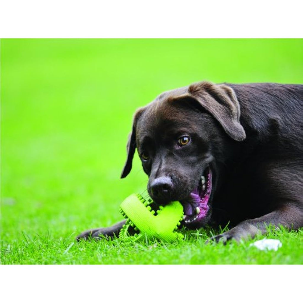 Grubber Rugby Ball Dog Toy – Durable Interactive Fetch Toy