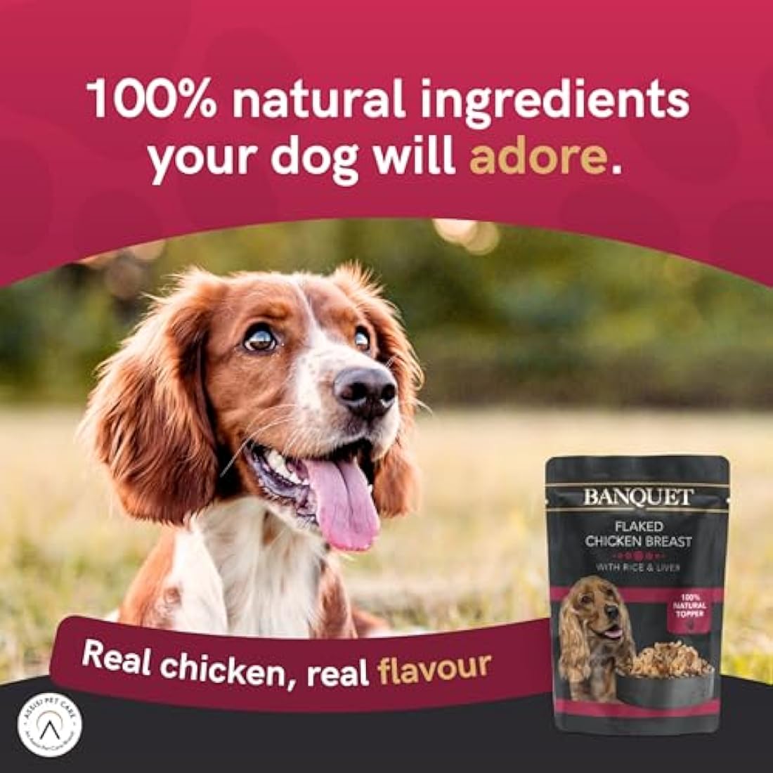 HiLife Banquet Natural Wet Dog Food - Chicken & Liver - 15 x 100g