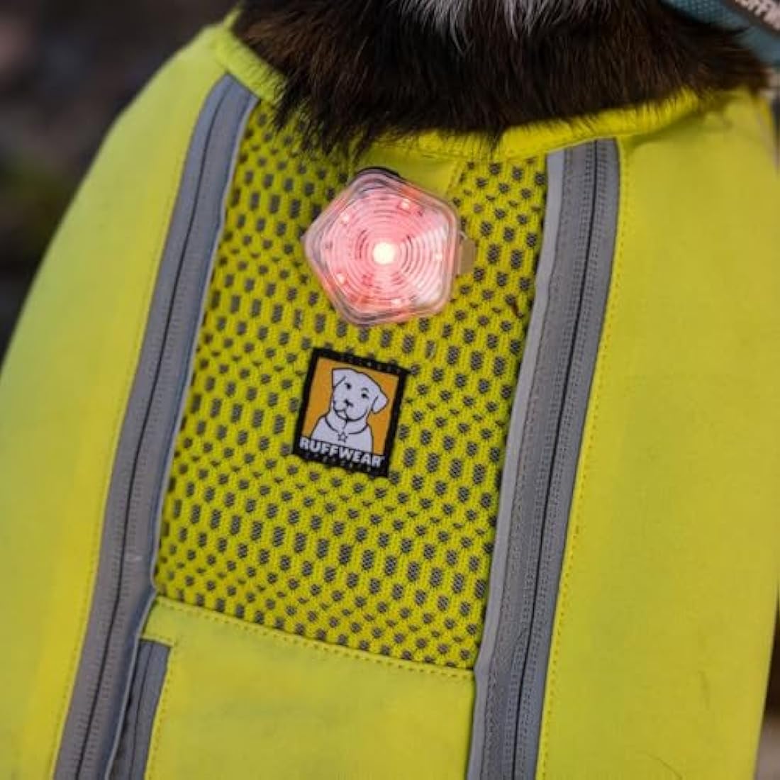 RUFFWEAR The Beacon LED Dog Safety Light | Waterproof & Rechargeable