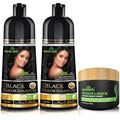 Herbishh Black Hair Color Shampoo 2-Pack with Argan Intense Hair Mask