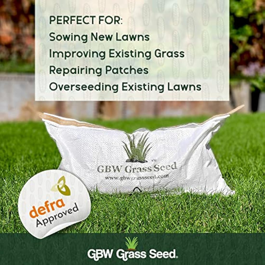 GBW Grass Seed 1kg | Hard Wearing & Fast Growing UK Lawn Seed Mix