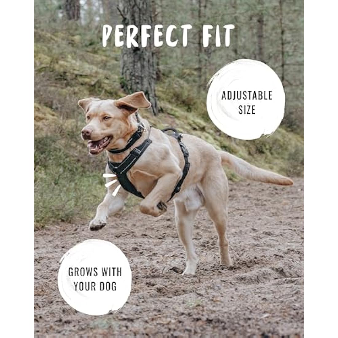 Rudelkönig Paola No Pull Dog Harness – Reflective Padded Chest Harness