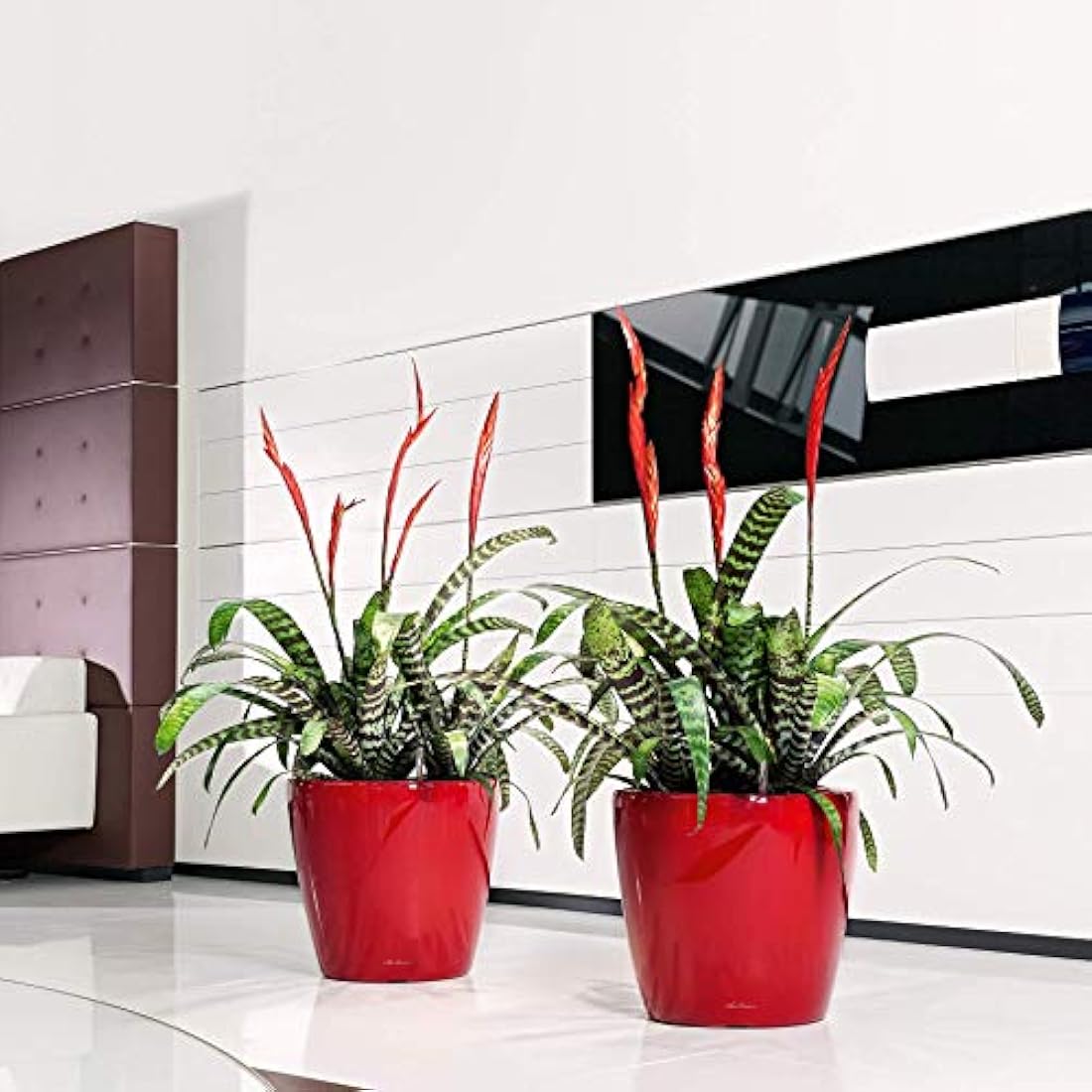 Lechuza Classico 43 LS Self-Watering Planter | Black High-Gloss Pot