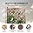VEVOR 2PCS Raised Garden Bed with Trellis – Fir Wood Planter Box with Wheels