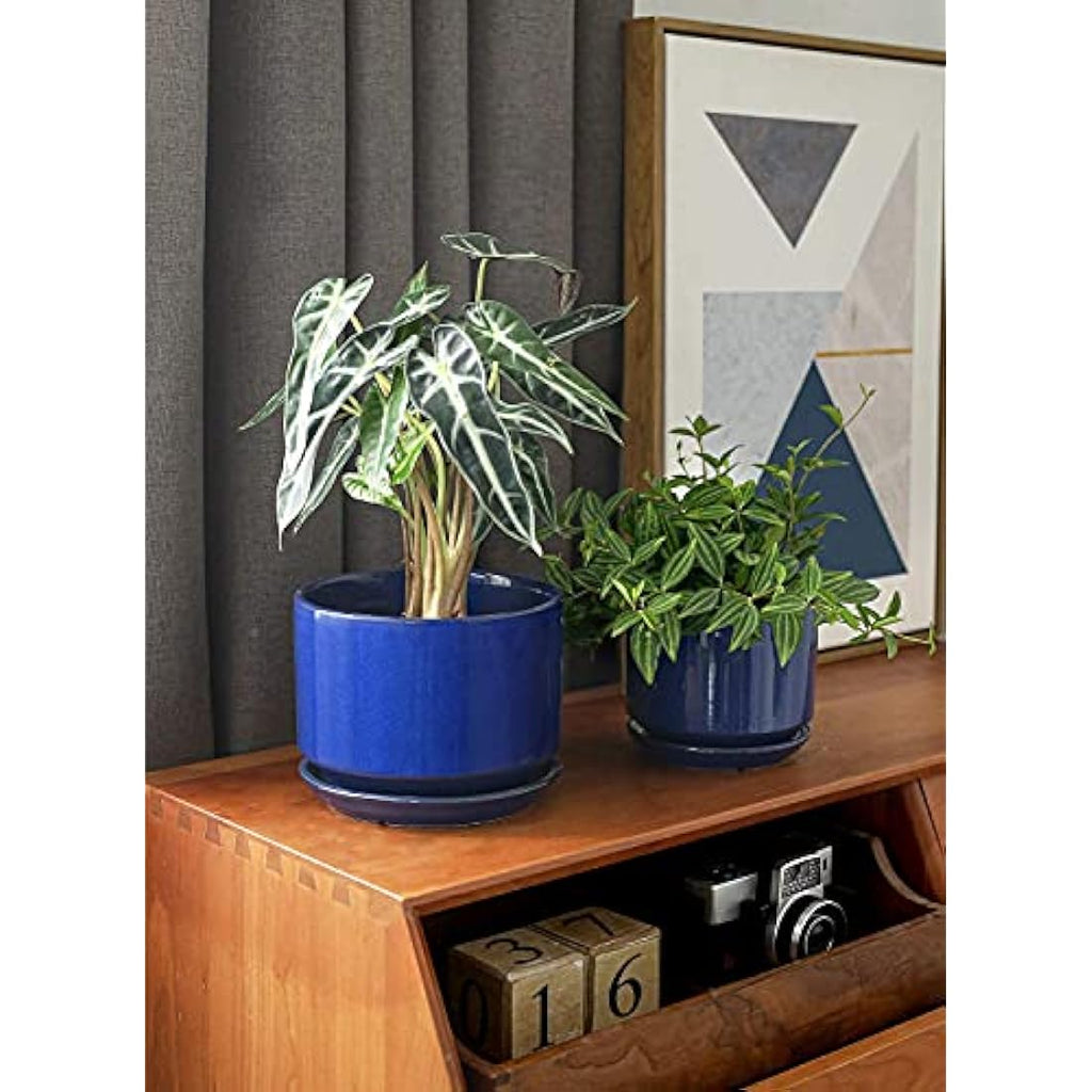 LE TAUCI Ceramic Planters - Set of 3 Indoor Flower Pots, Sapphire Blue