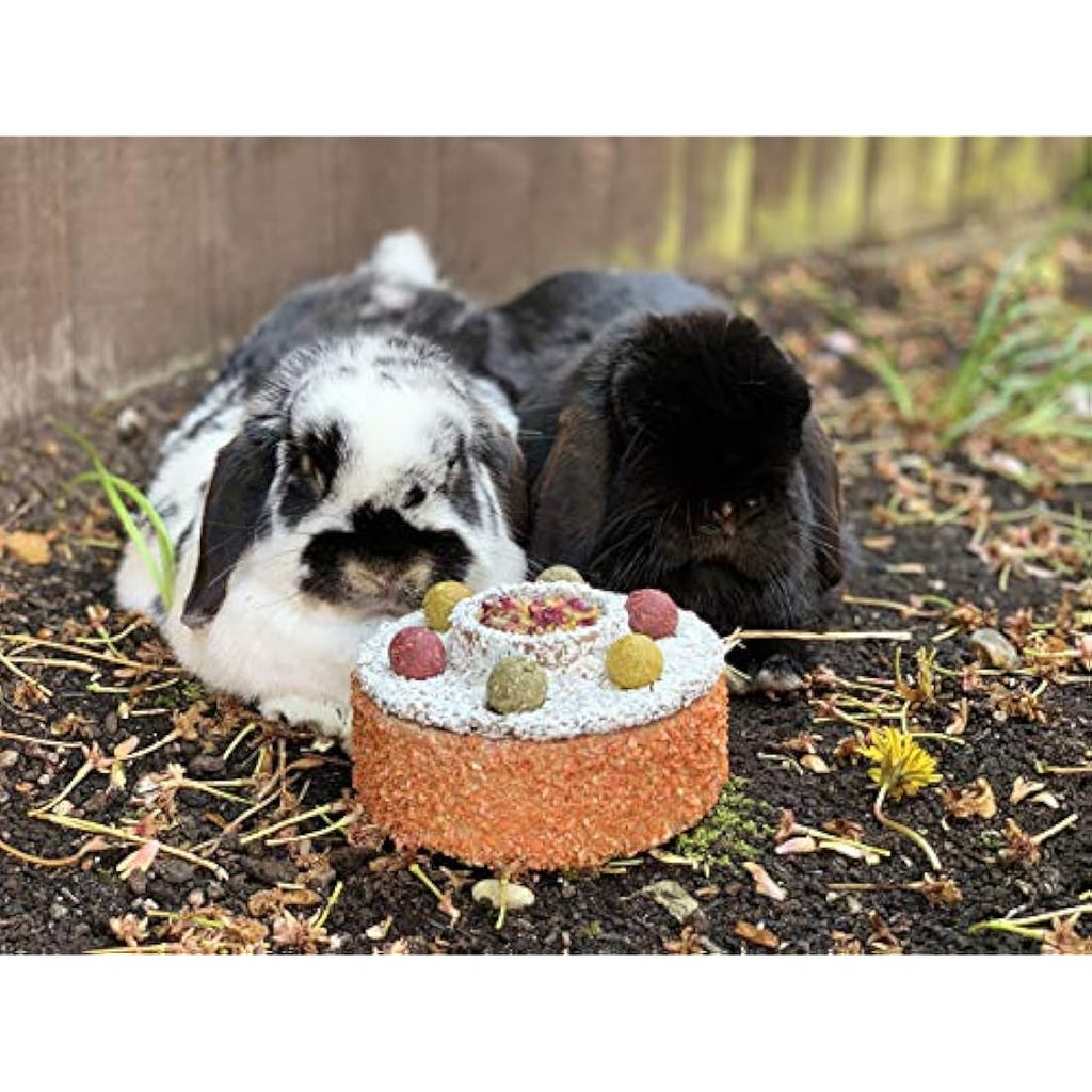 Rosewood Naturals Celebration Cake | Edible Small Animal Birthday Treat