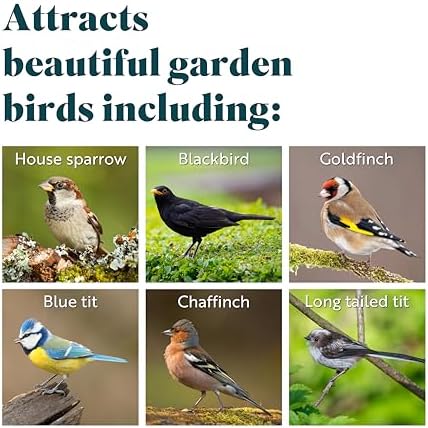 RSPB Sunflower Hearts Wild Bird Food – 4kg High Energy Bird Seed