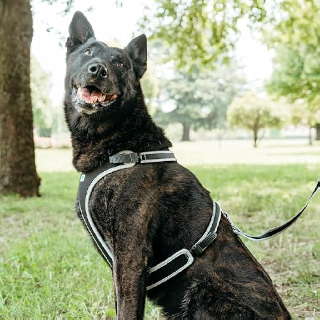 Ferplast Ergocomfort Large Dog Harness | Padded Nylon – Silver