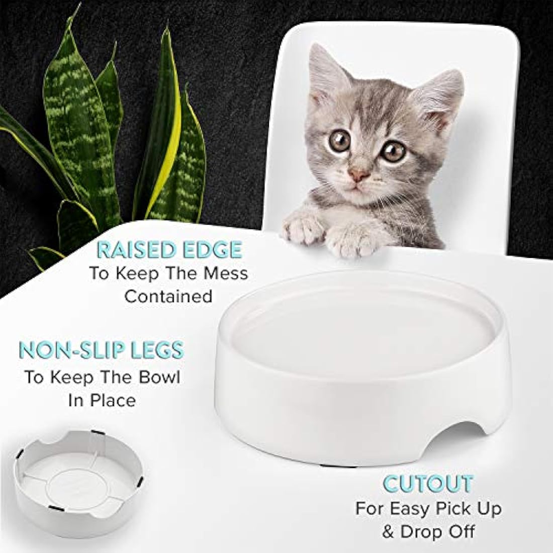CatGuru Elevated Cat Feeder – Non-Slip Raised Pet Feeding Station