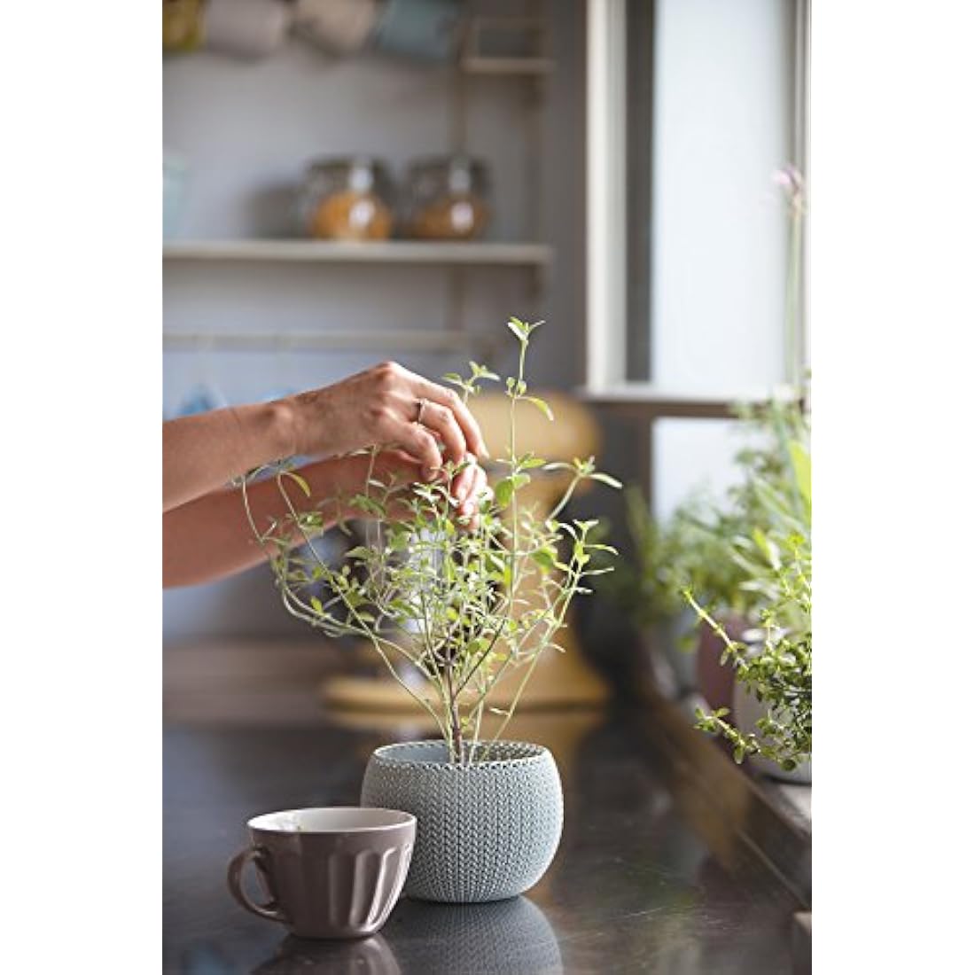 Keter Knit Cozies Garden Plant Pots – Set of 3 Multi-Colour Planters