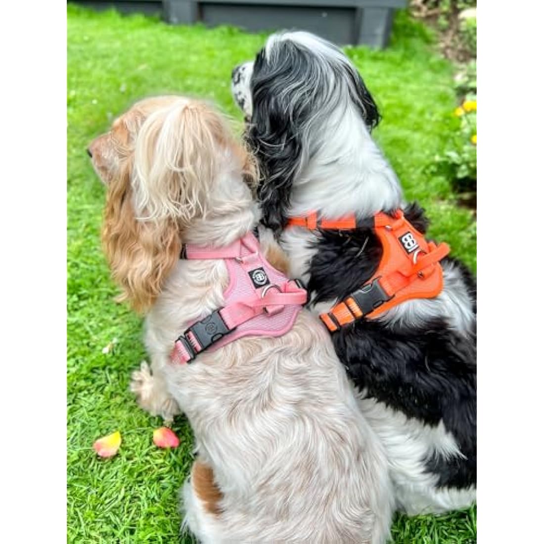 BullyBillows Active Light Dog Harness | Reflective Padded - Grey XS