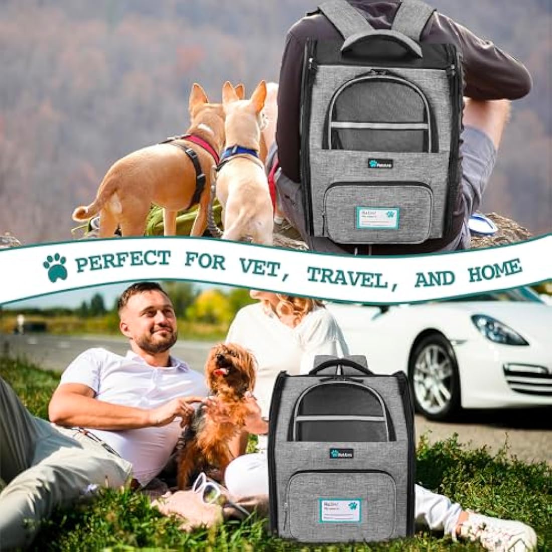 PetAmi Deluxe Pet Carrier Backpack - Ventilated Airline Approved - Heather Gray