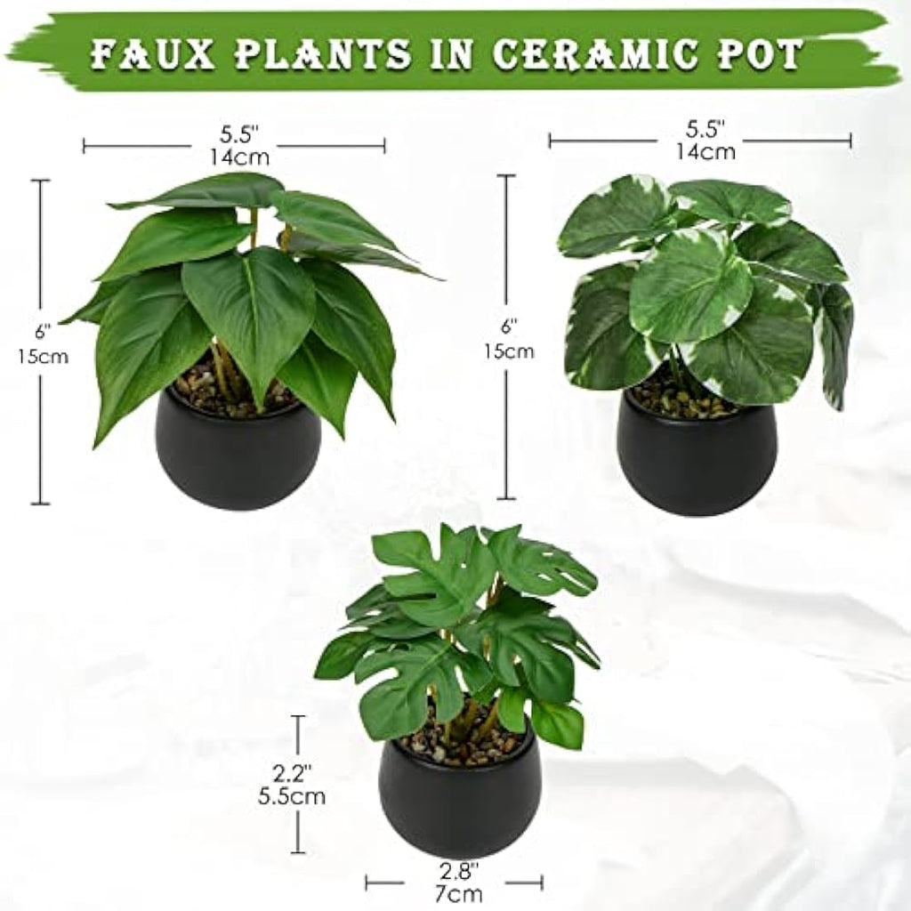Jolof Store Set of 3 Small Artificial Potted Plants in Ceramic Pots