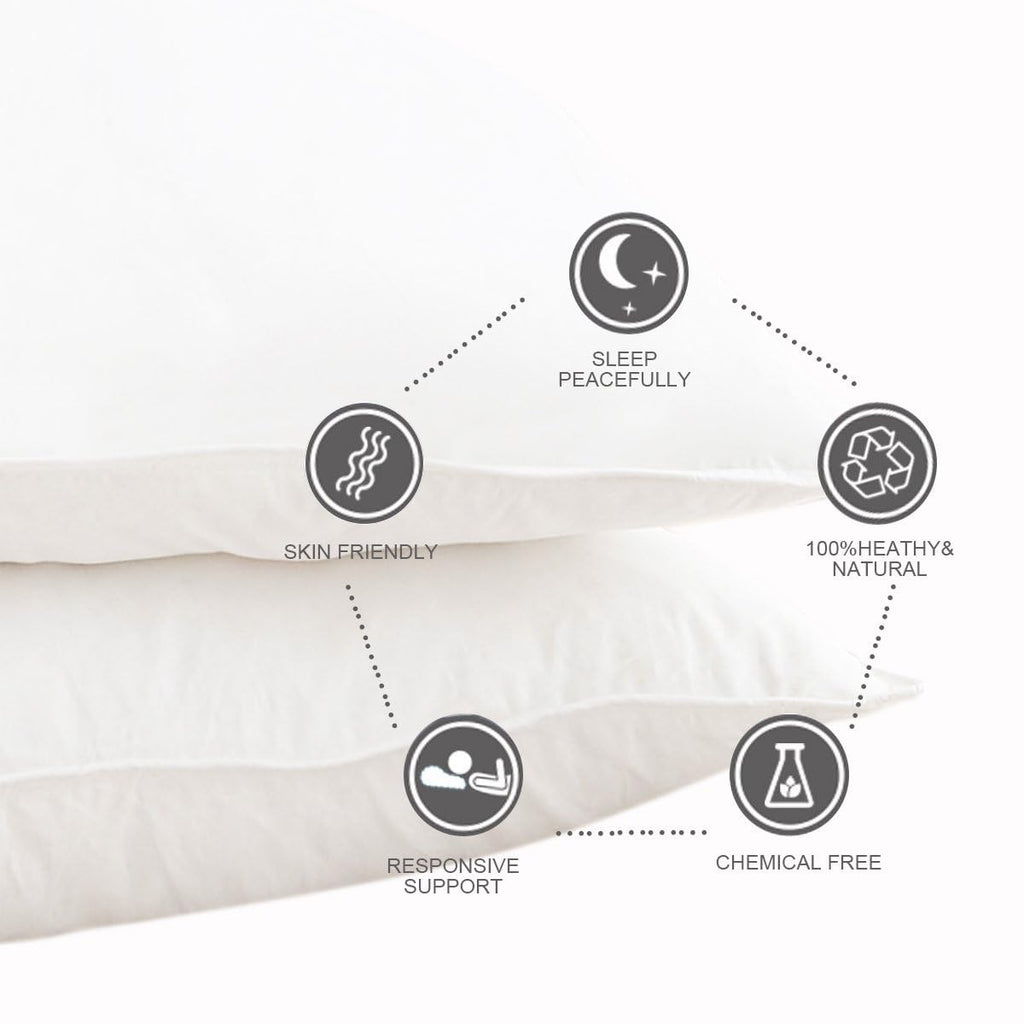 Jolof Store Goose Down Pillows - Pack of 2 Luxury 100% Cotton Shell