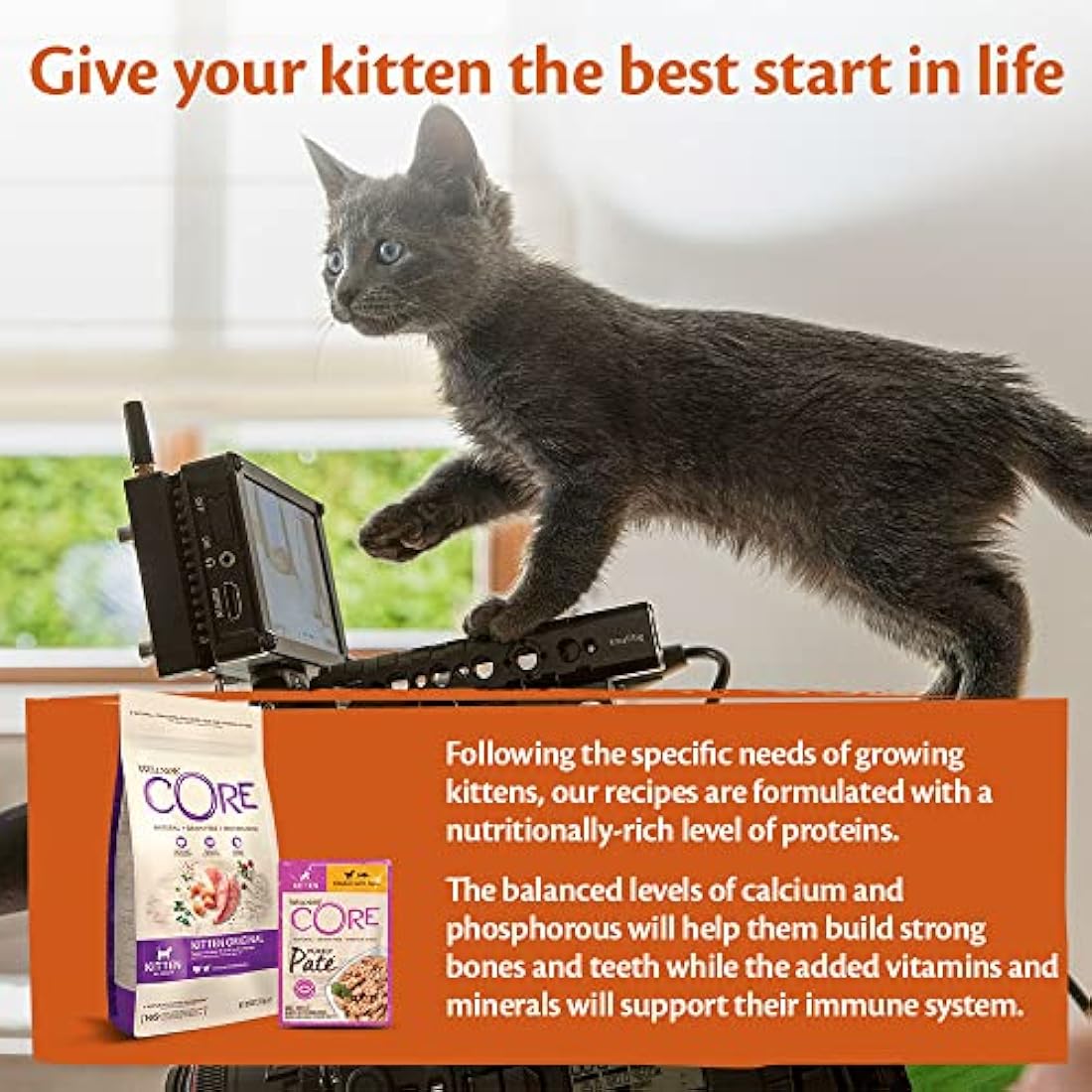 Wellness CORE Kitten Wet Food – Grain-Free Chicken & Tuna Paté (24x85g)