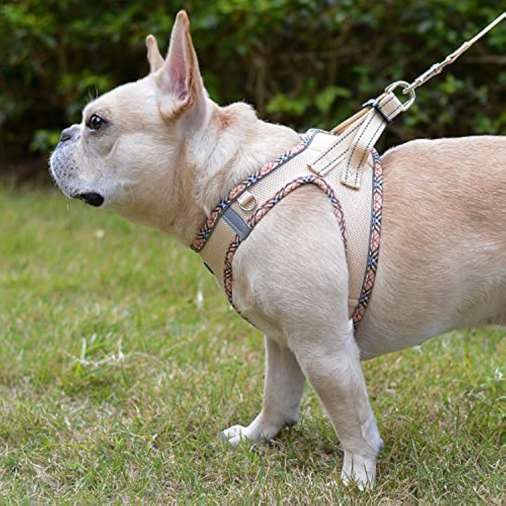 DORAMIO Step-in Dog Harness and Leash Set | Reflective Mesh Vest – Beige