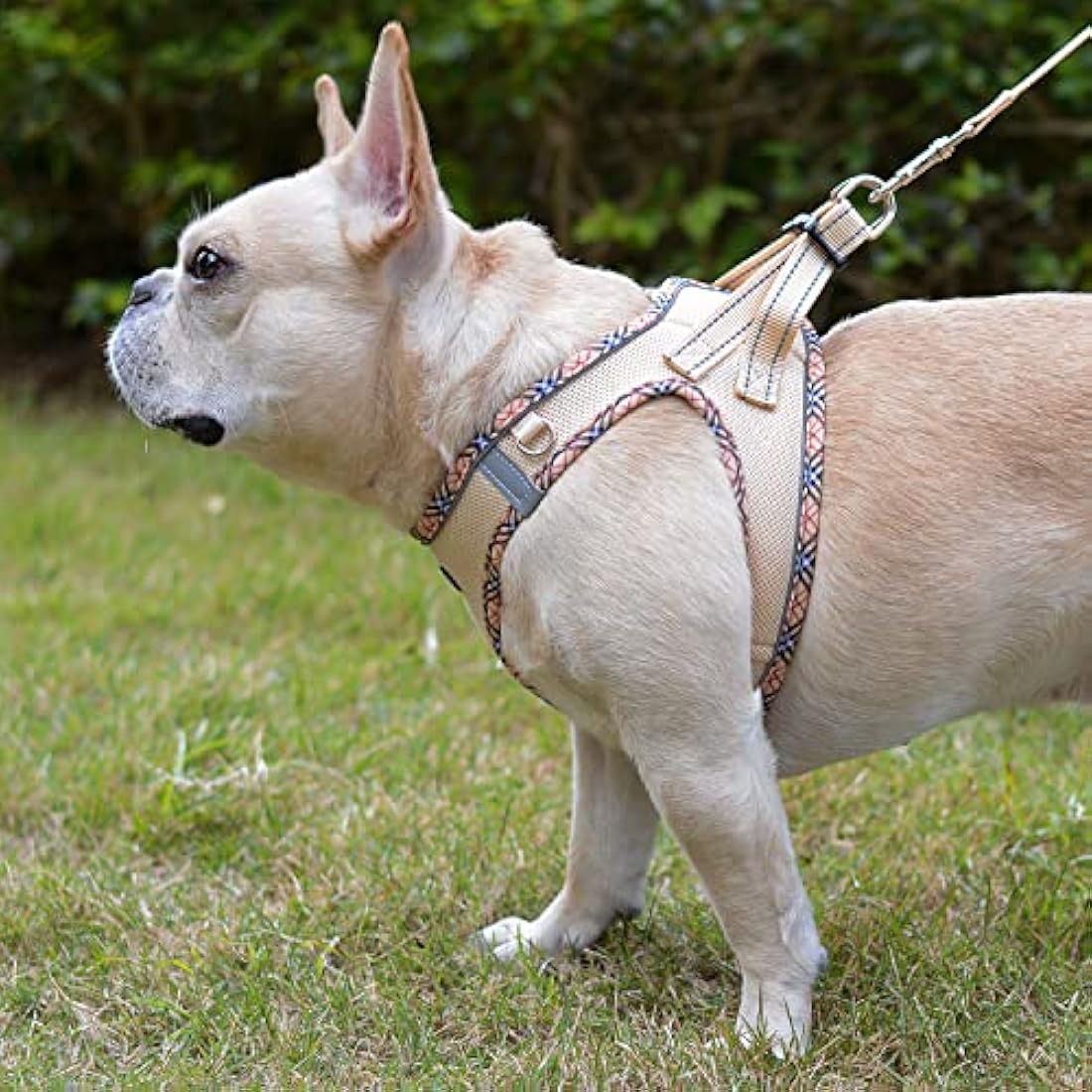 DORAMIO Step-in Dog Harness and Leash Set | Reflective Mesh Vest – Beige