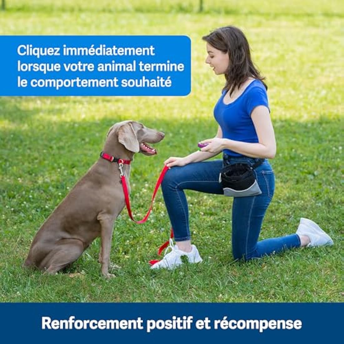 PetSafe Clik-R Dog Training Clicker – Positive Reinforcement Tool, Purple