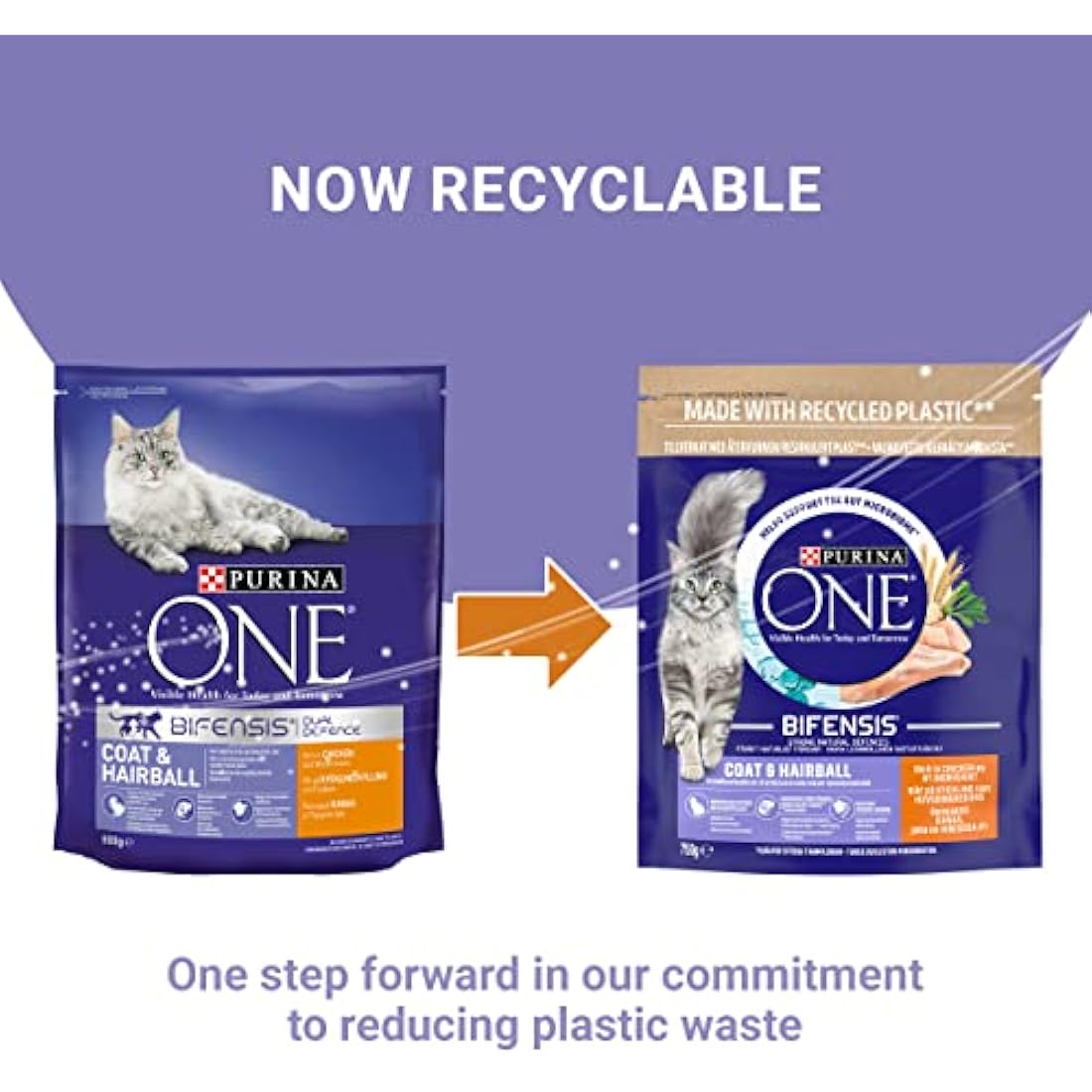 Purina ONE Coat & Hairball Chicken Dry Cat Food - 750g (Pack of 4)