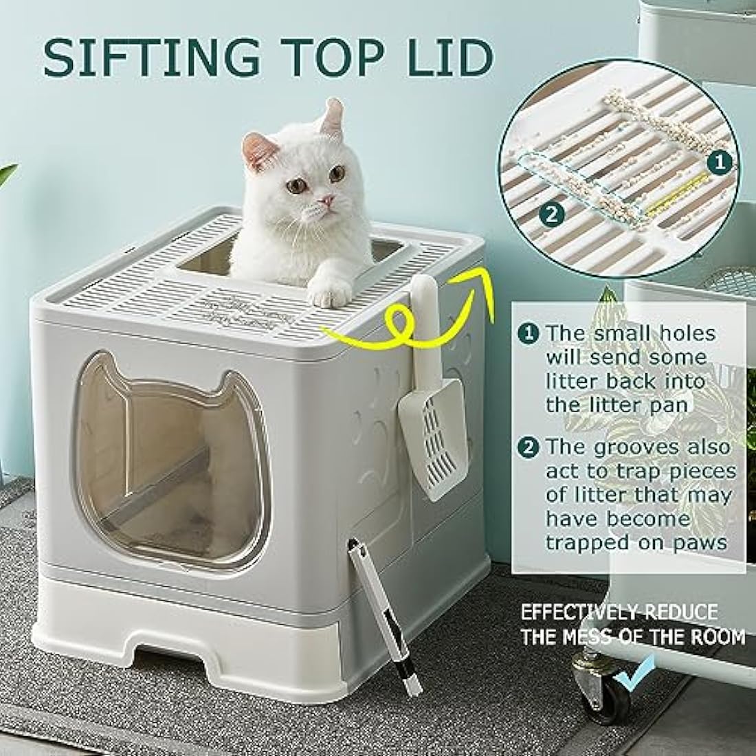 Pawsayes Foldable Cat Litter Box with Lid | Top Entry Tray for Kittens