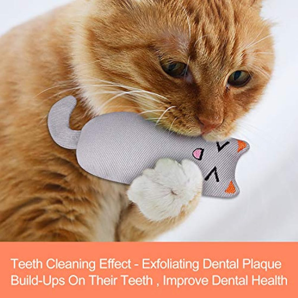 Jolof Store Catnip Toys for Indoor Cats – 3-Pack Plush Teething Toys