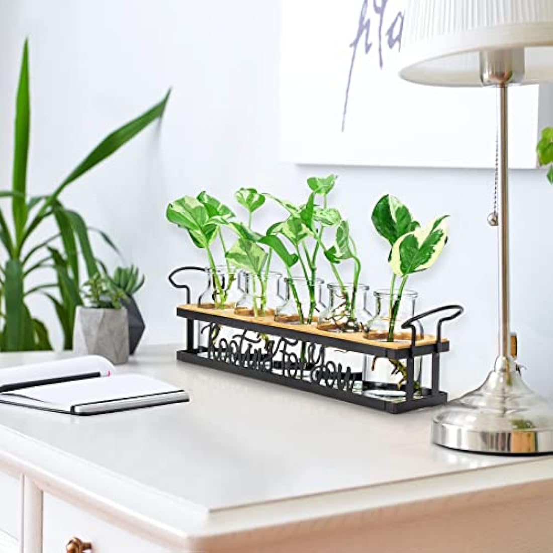 THYGIFTREE Plant Propagation Station | Metal Stand Glass Terrarium