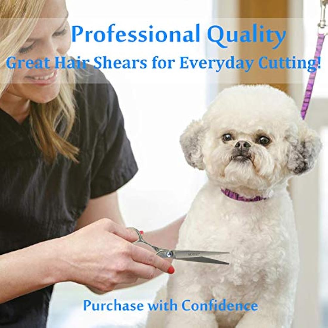 JASON 8" Straight Dog Grooming Scissors | Japanese Stainless Steel