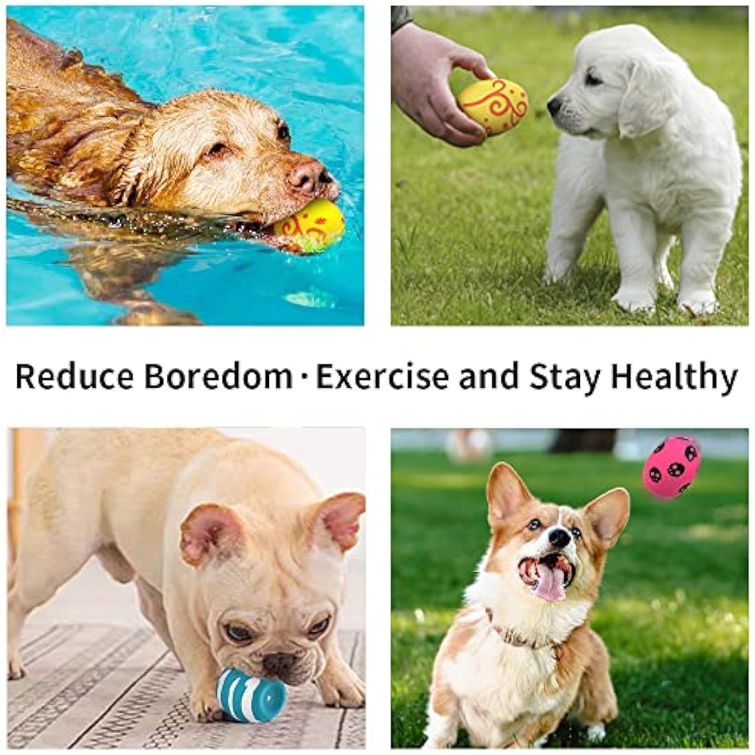Jolof Store Dog Squeaky Toy – 3 Pack Latex Bouncy Egg Balls for Puppies