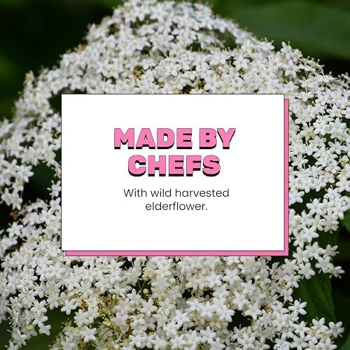 Dalston's Sparkling Elderflower Soda – Low Calorie & Vegan (24 x 330ml)