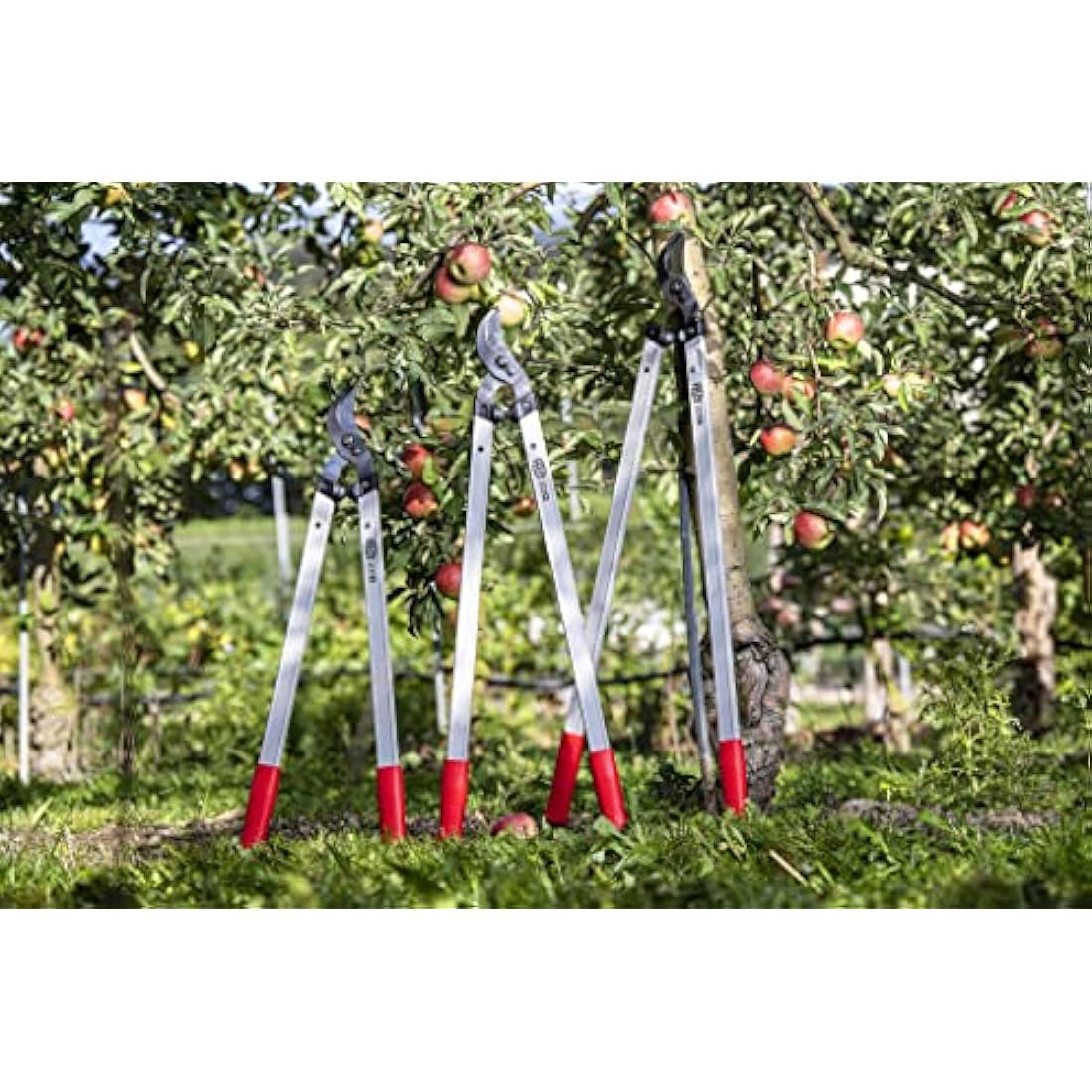 Felco 221-70 Long Reach Loppers | 70cm Lightweight Aluminum Handles