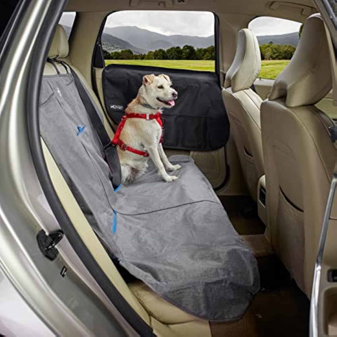 Kurgo Car Door Guard | Waterproof Dog Door Protector, 2-Pack, Black