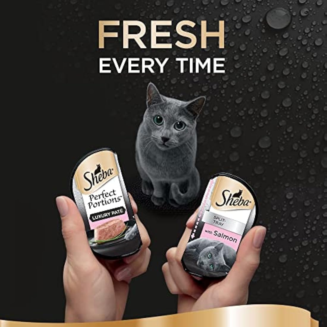 Sheba Perfect Portions Salmon Loaf Wet Cat Food - 12 x 37.5g Trays