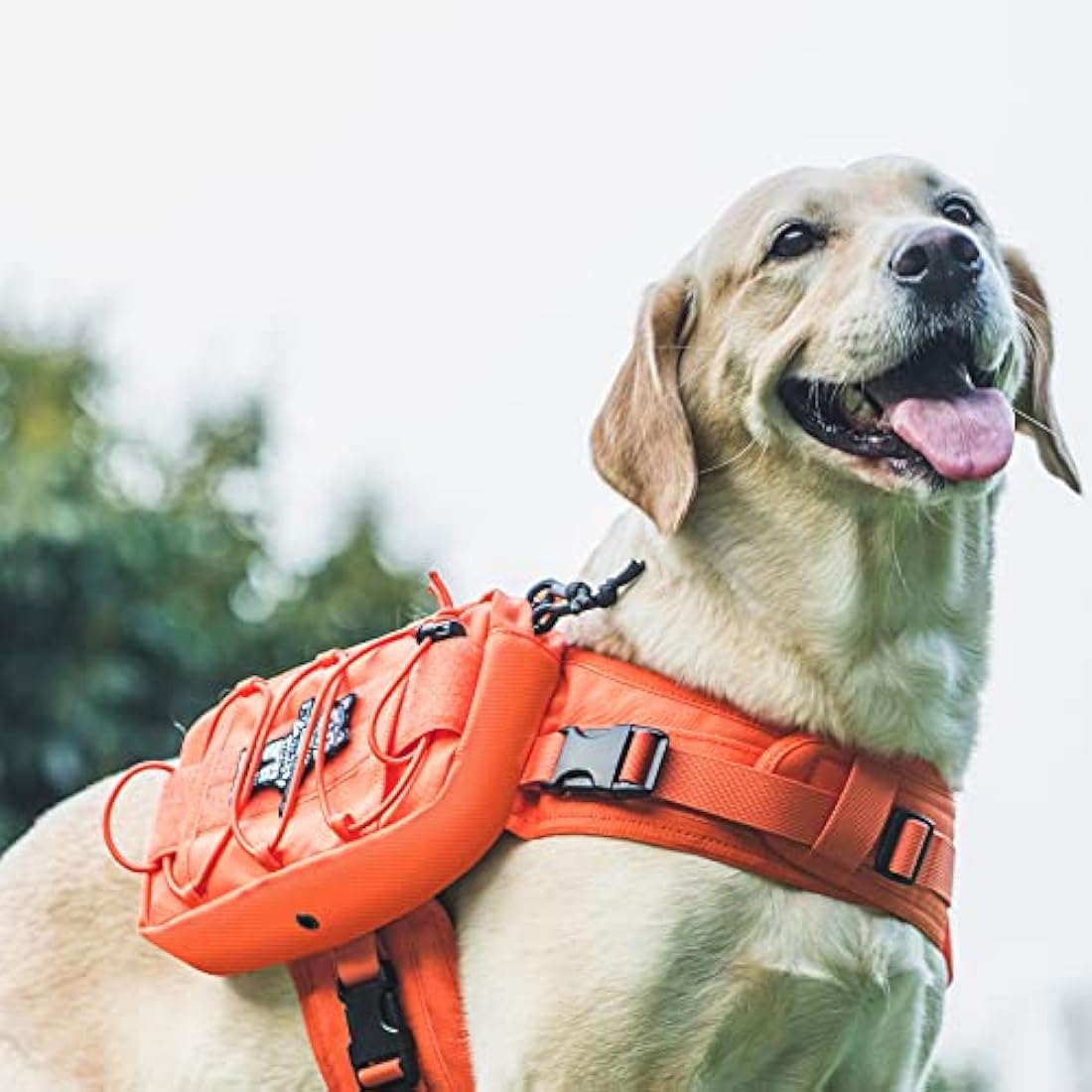 OneTigris Mammoth Dog Backpack 2.0 – Durable 1000D Nylon Hiking Pack