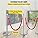 Silver Stanchion Posts - 4 Pack Queue Barriers with Red Velvet Rope